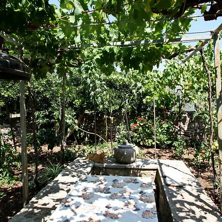 Stone House Dalmatino Holiday home *